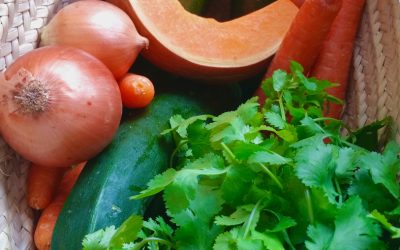 A nossa alimentação